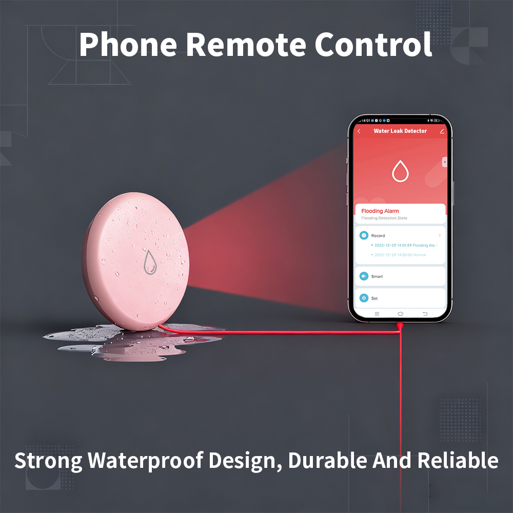 Czujnik wycieku Zigbee, detekt – Water Alarm Sensor recenzja i cena